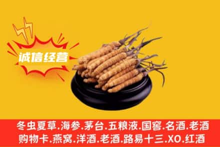 南昌青云谱区回收冬虫夏草